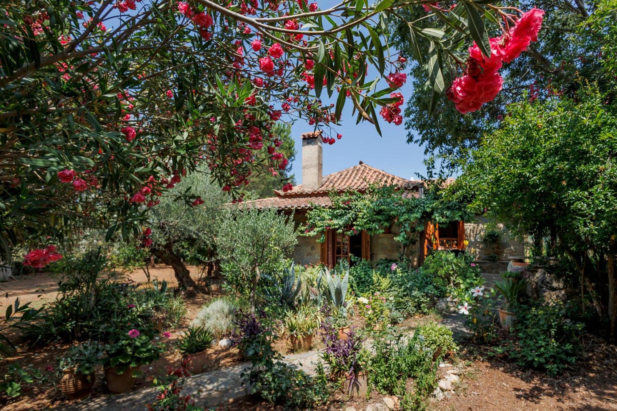 Spiti Nicola Villa Stoúpa Exterior foto